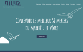 Site internet de Diluz